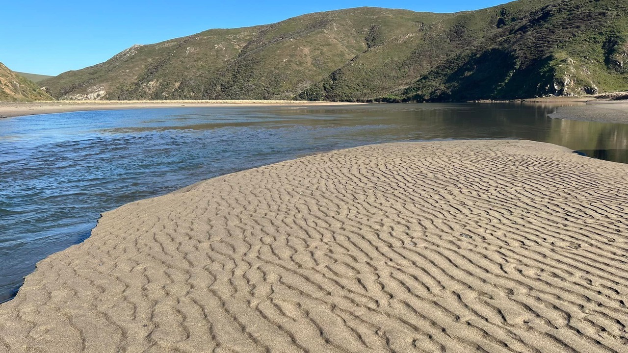 Photo of Others in Dillon Beach