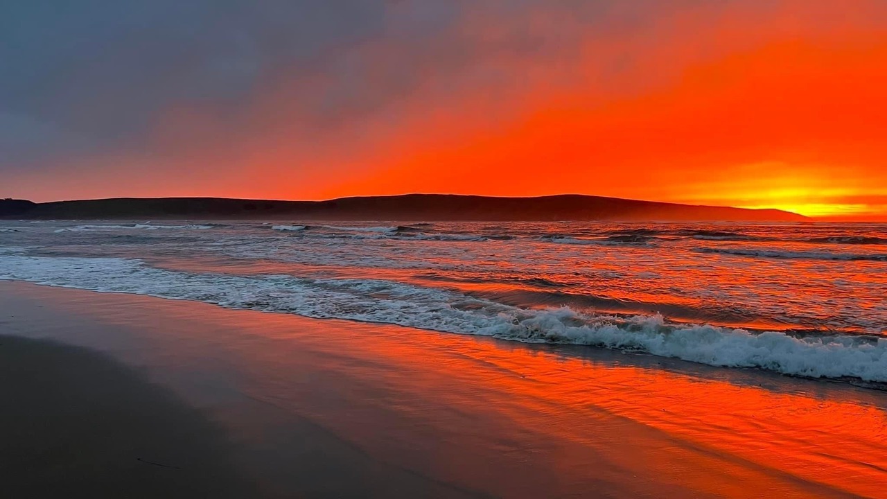 Photo of Others in Dillon Beach