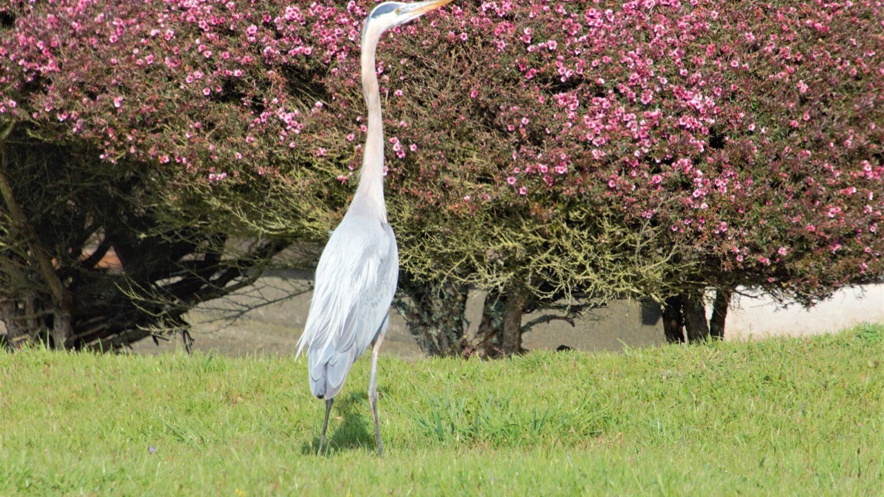 Photo of Outdoor in Dillon Beach