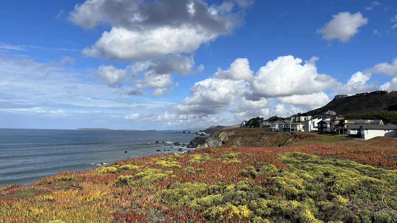 Photo of Bedroom in Dillon Beach