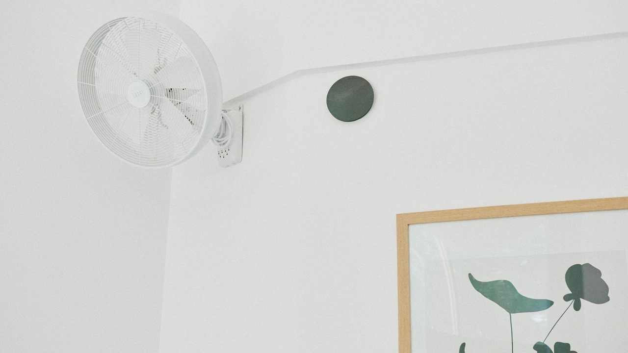 Photo of Others in Kongens Lyngby