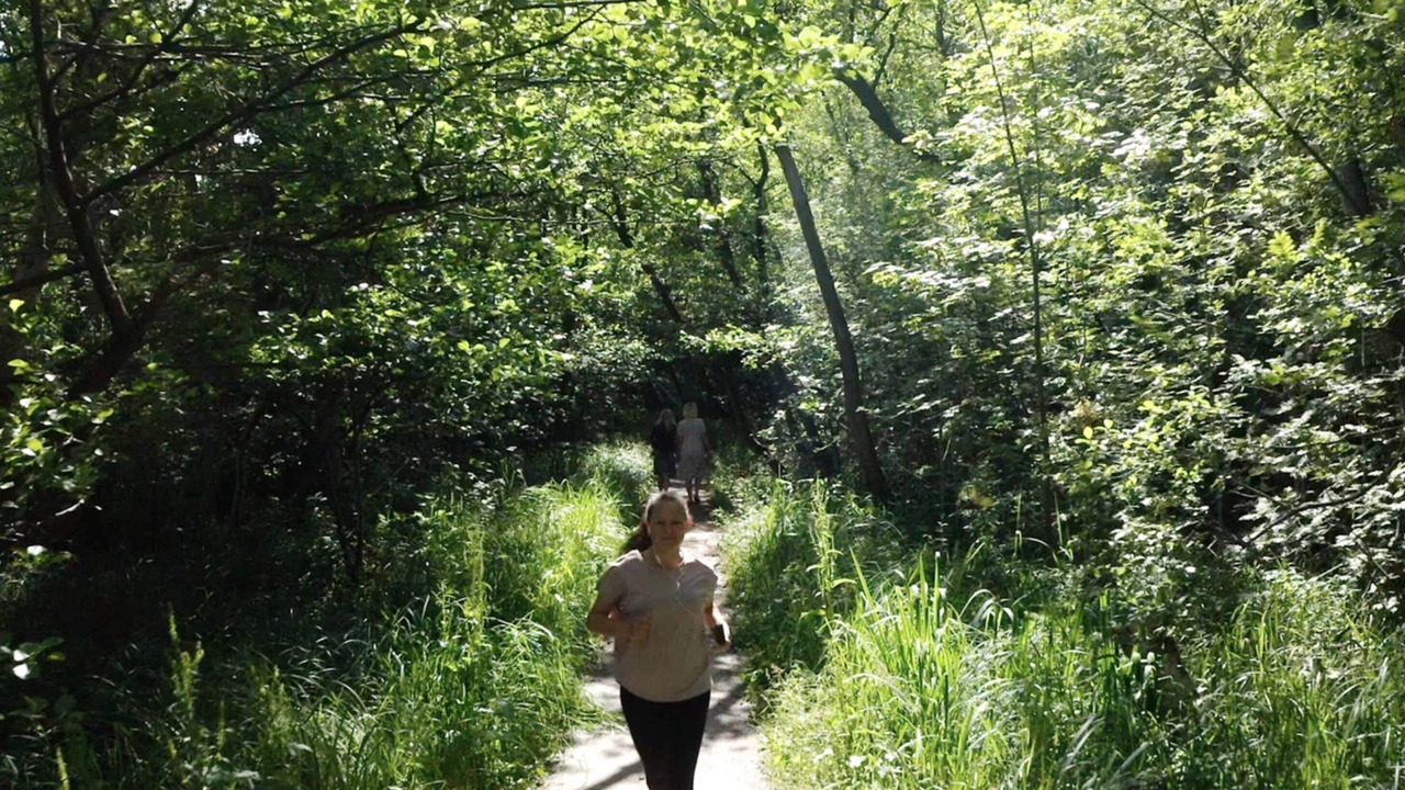 Photo of Others in Lyngby-Taarbæk Kommune