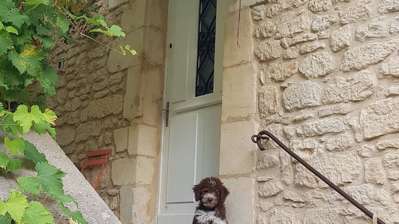 Photo of Outdoor in Campagne