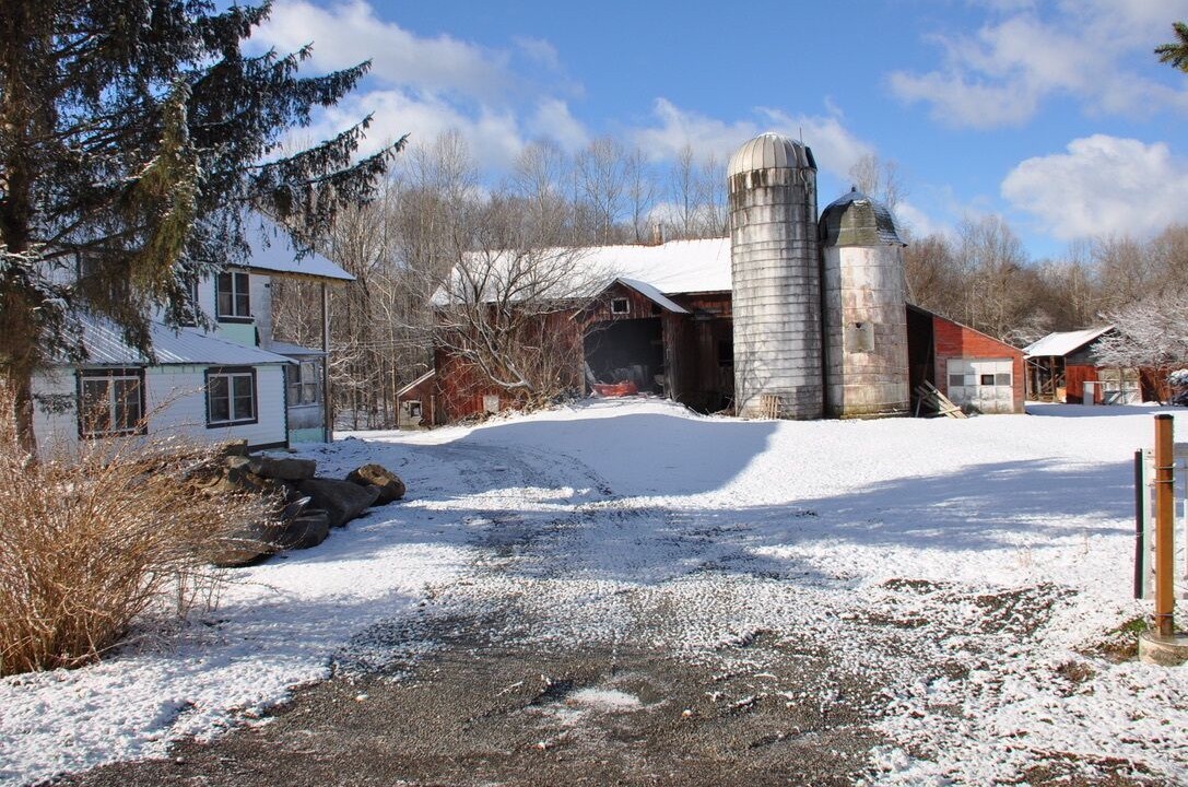 Photo of Outdoor in Mount Upton