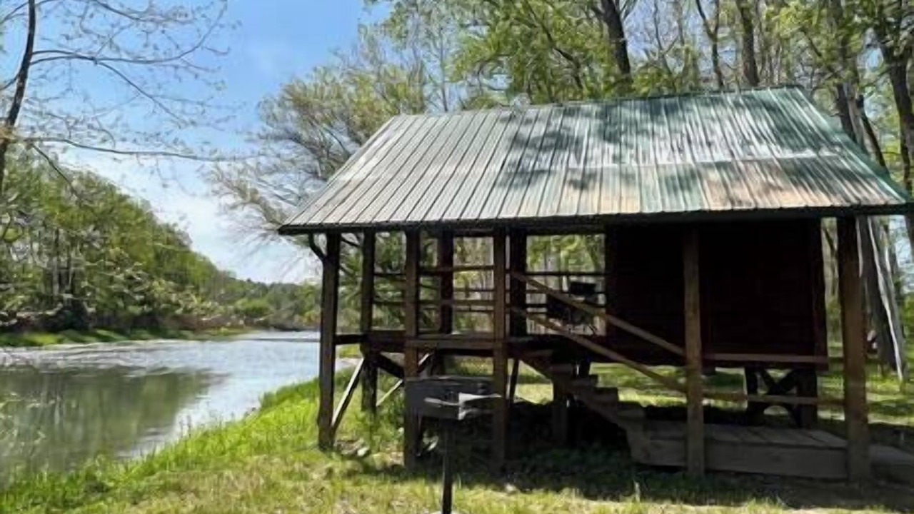 Photo of Others in Belfast