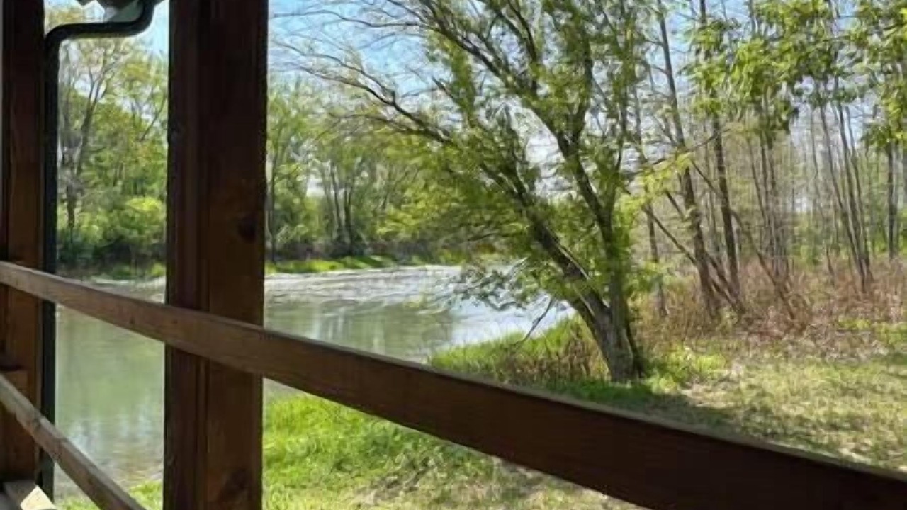 Photo of Others in Belfast