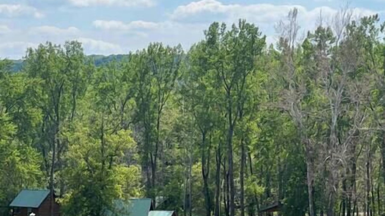 Photo of Others in Belfast