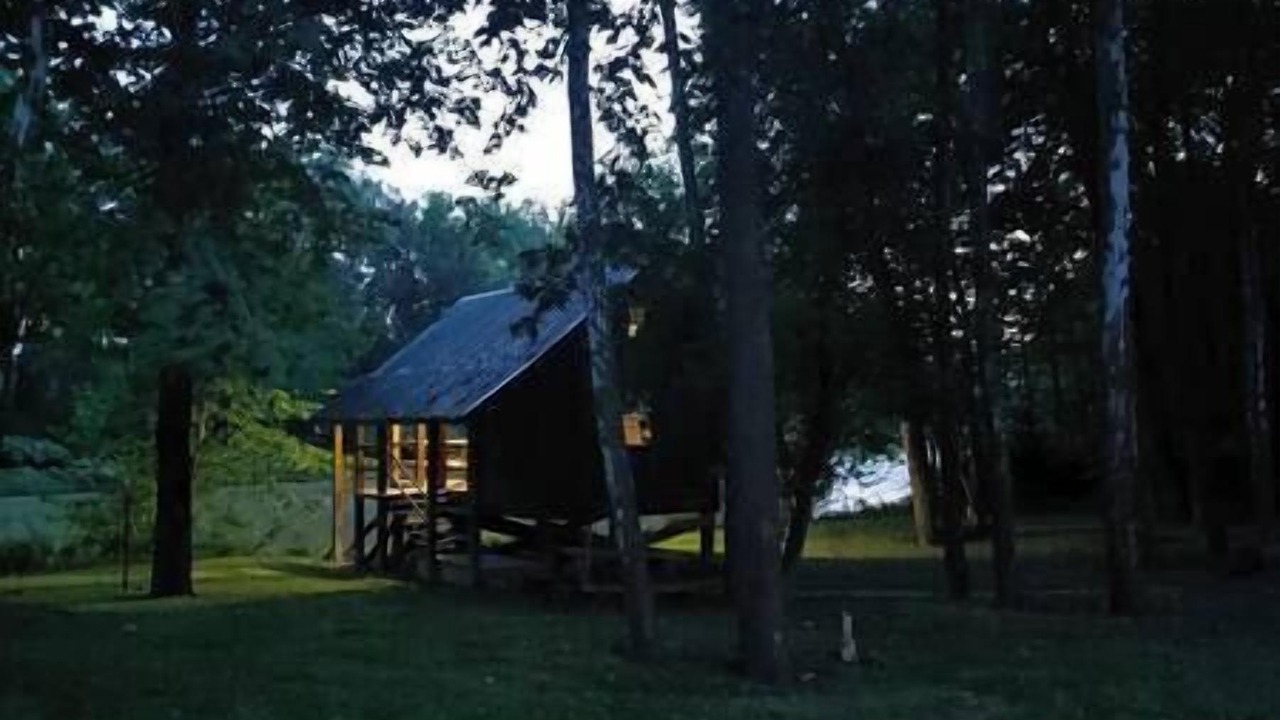 Photo of Others in Belfast