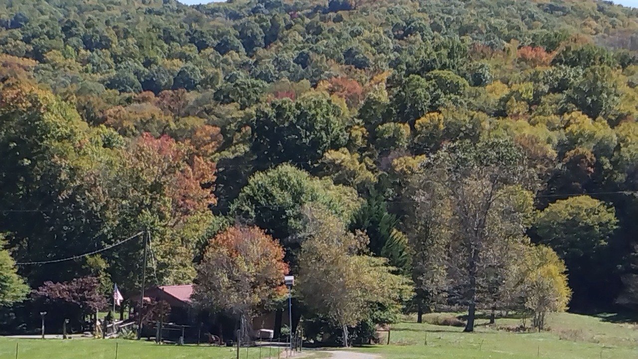Photo of Others in Mouth of Wilson