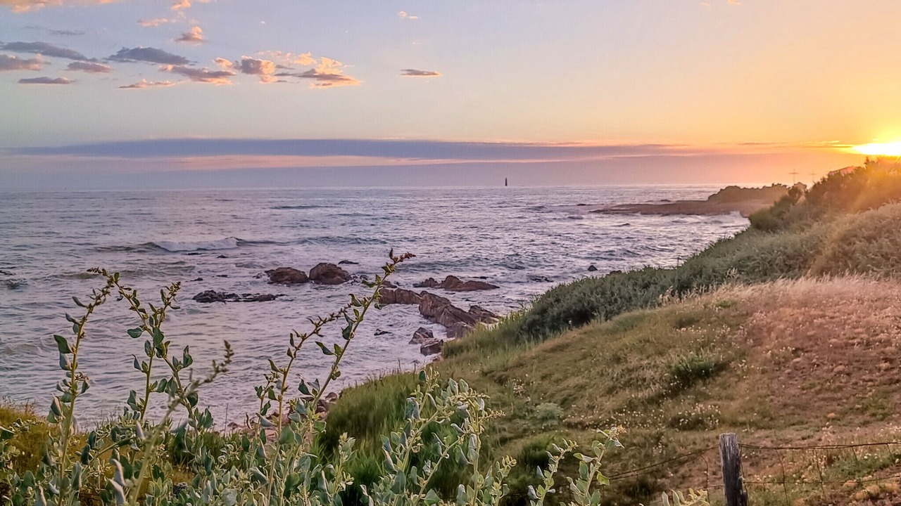 Photo of Others in Les Sables d'Olonne