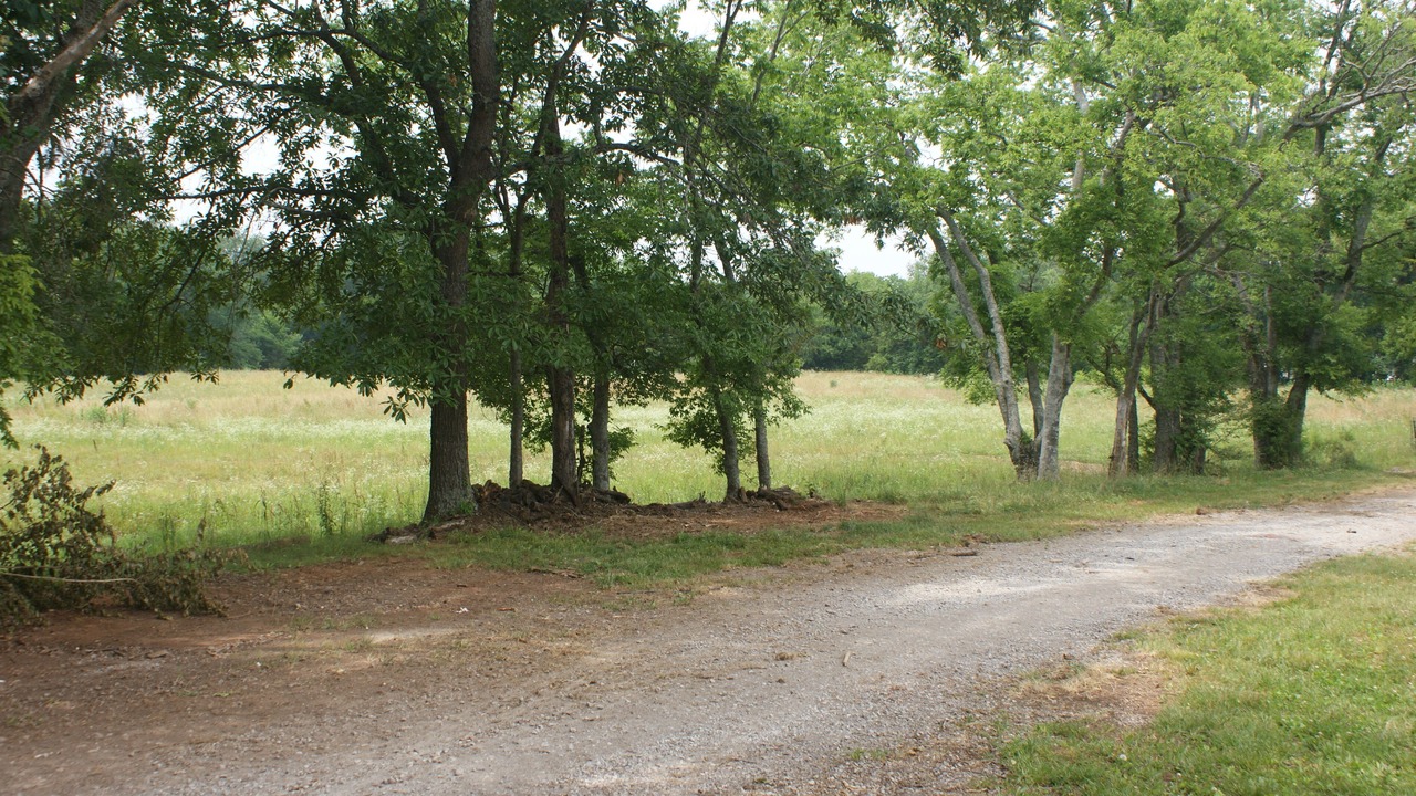 Photo of Others in Smyrna