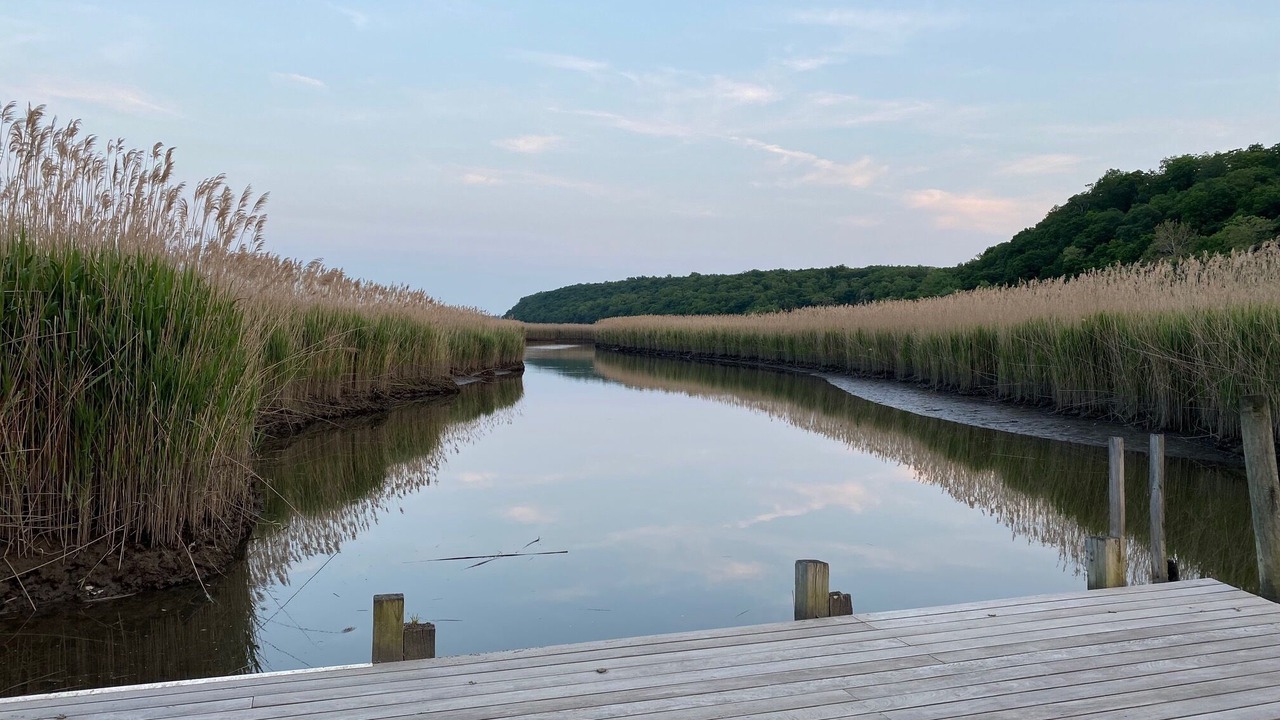 Photo of Outdoor in Piermont