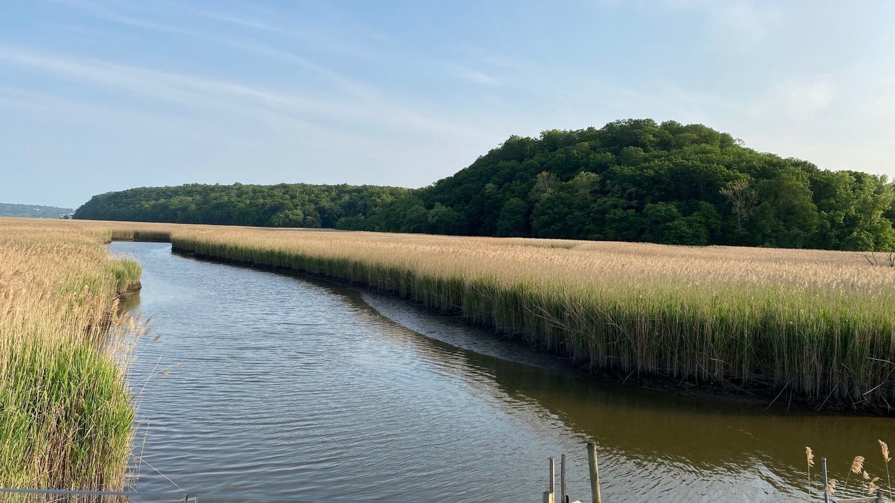 Photo of Others in Piermont