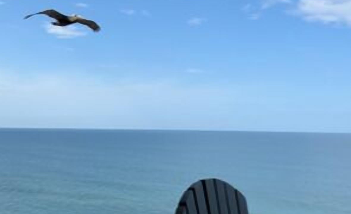 Photo of Patio Balcony in Ormond-by-the-Sea