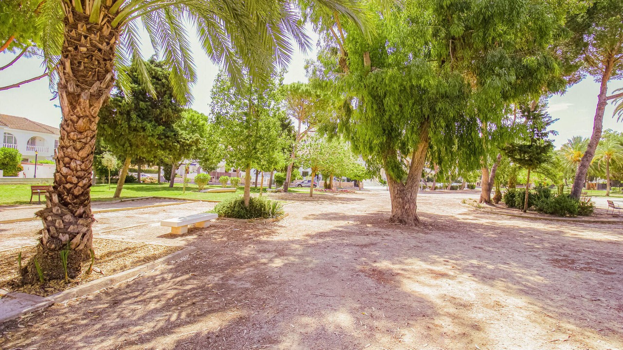 Photo of Others in La Zenia