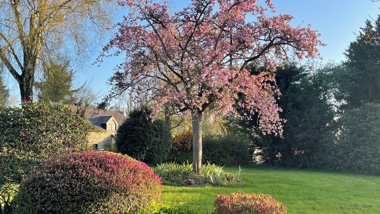 Photo of Outdoor in Saint-Nicolas-du-Pelem