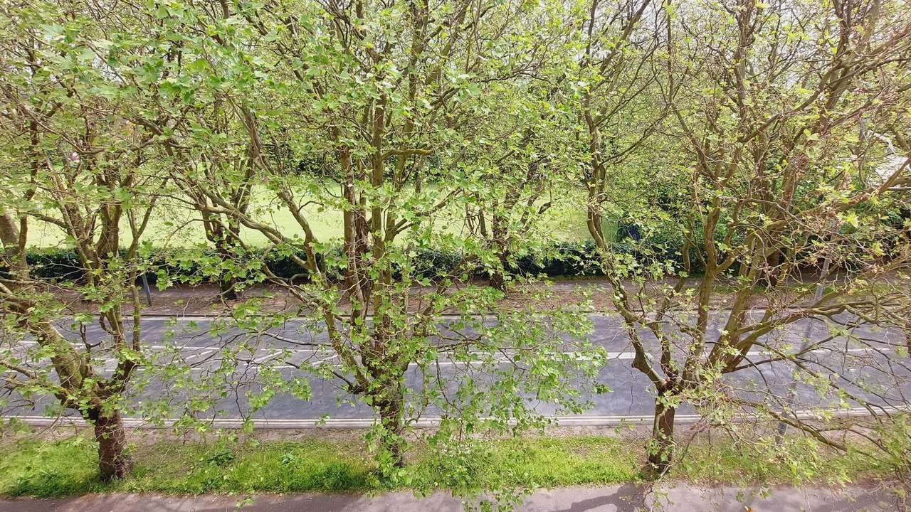 Photo of Outdoor in Ipswich