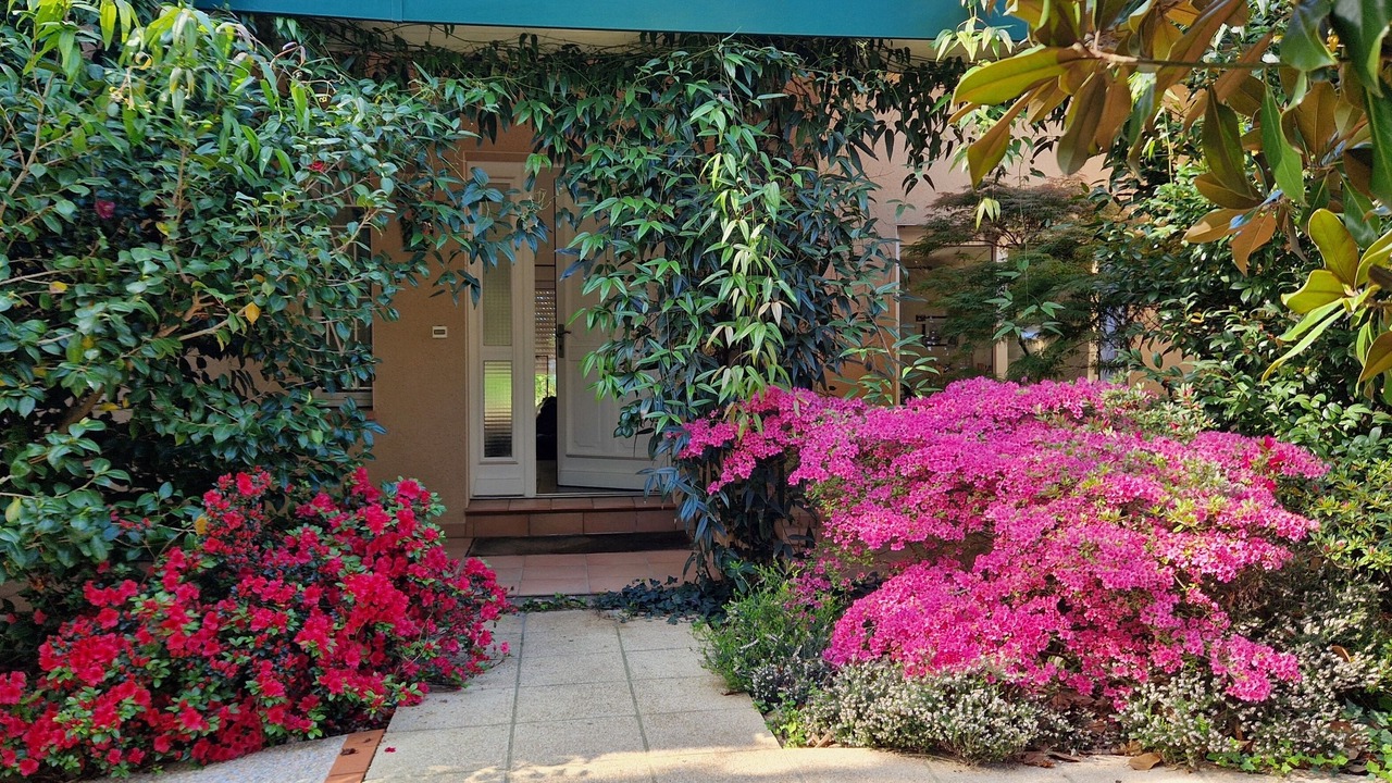 Photo of Outdoor in Bruguieres