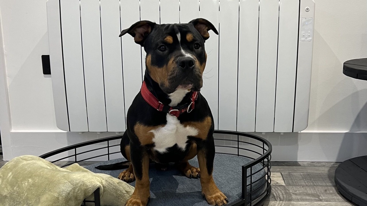 Photo of Others in St. Blazey