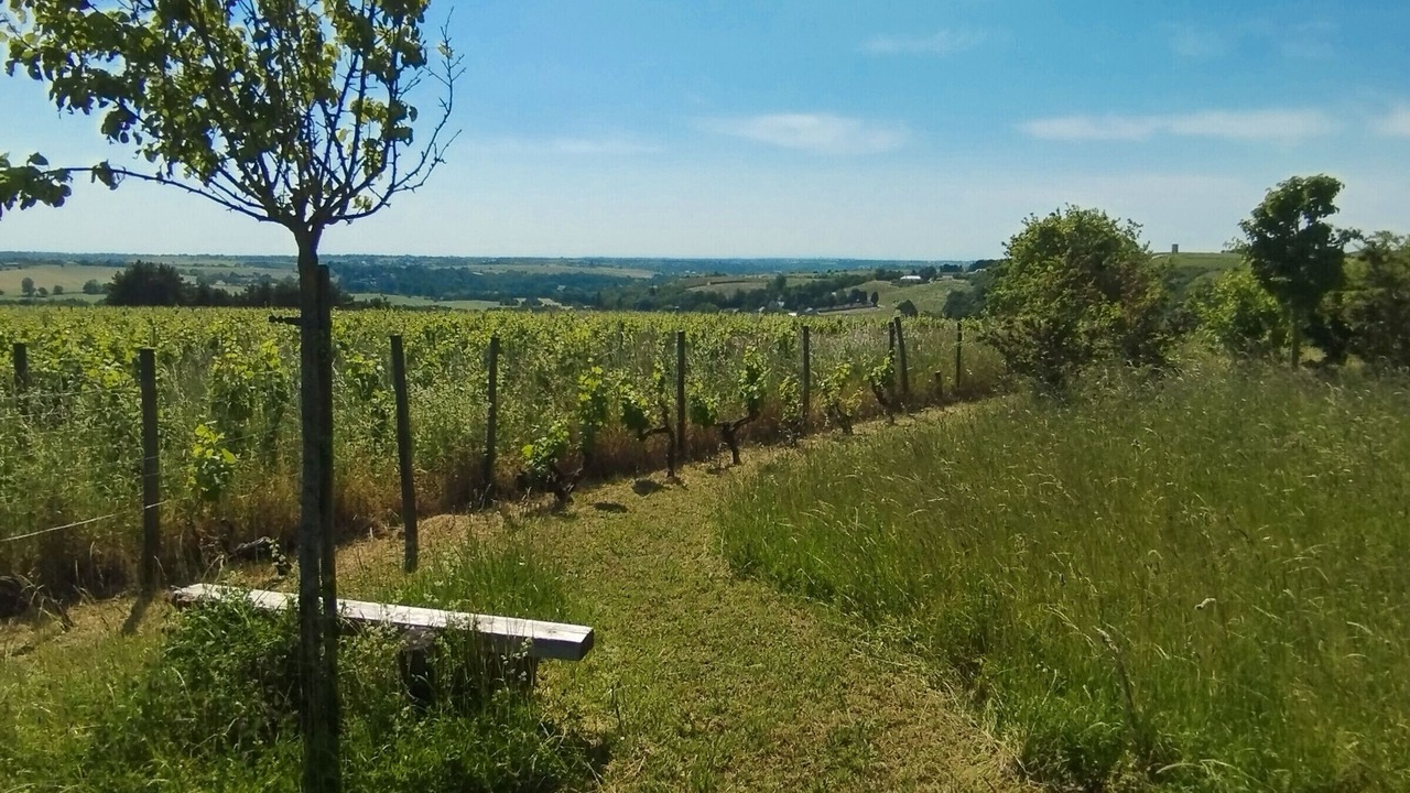 Photo of Outdoor in Val-du-Layon