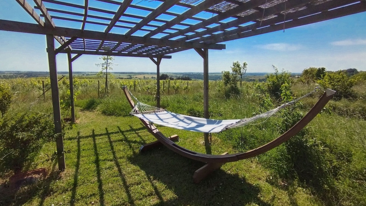 Photo of Outdoor in Val-du-Layon