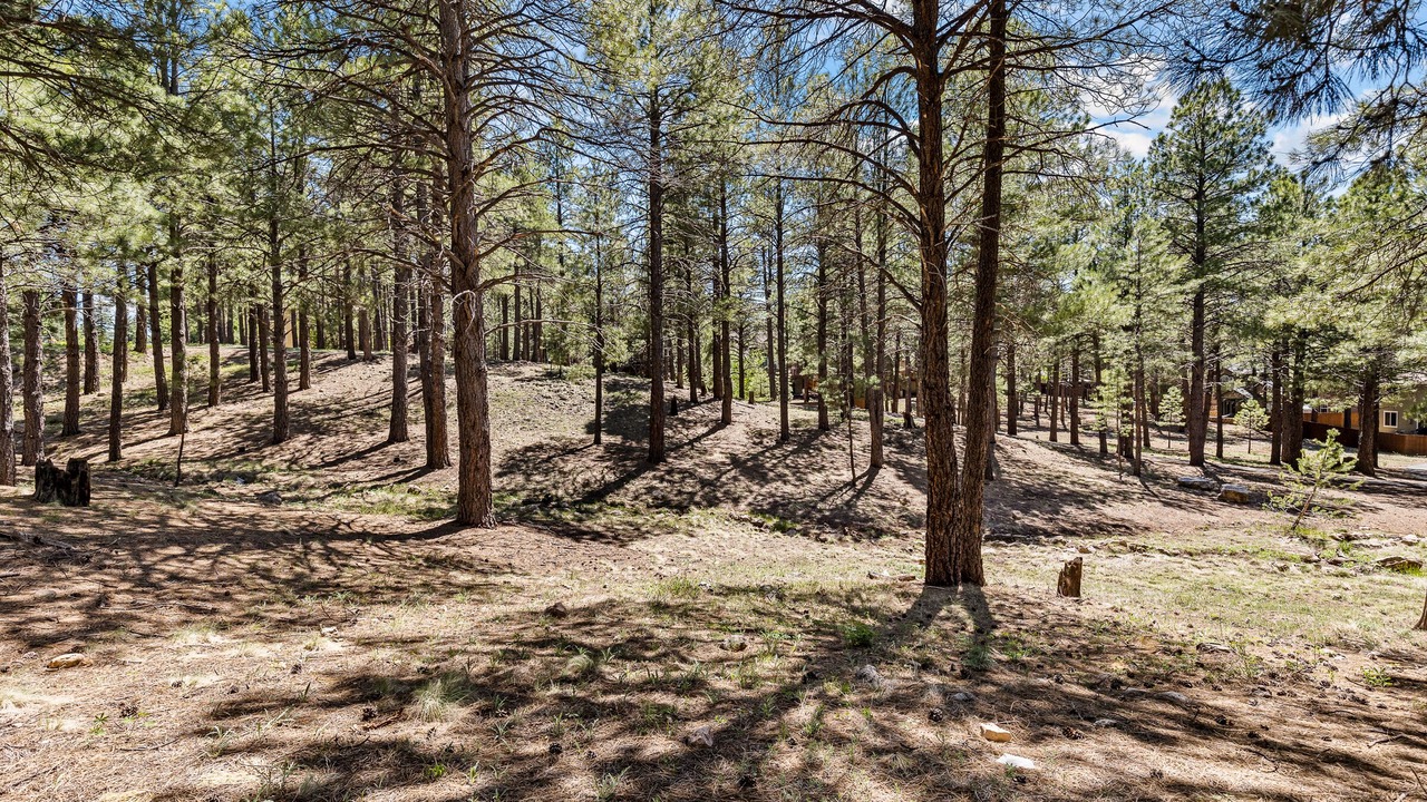 Photo of Others in Ponderosa Trails