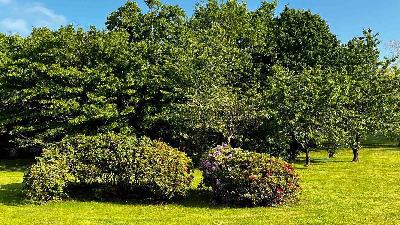 Photo of Outdoor in Coudray-Rabut