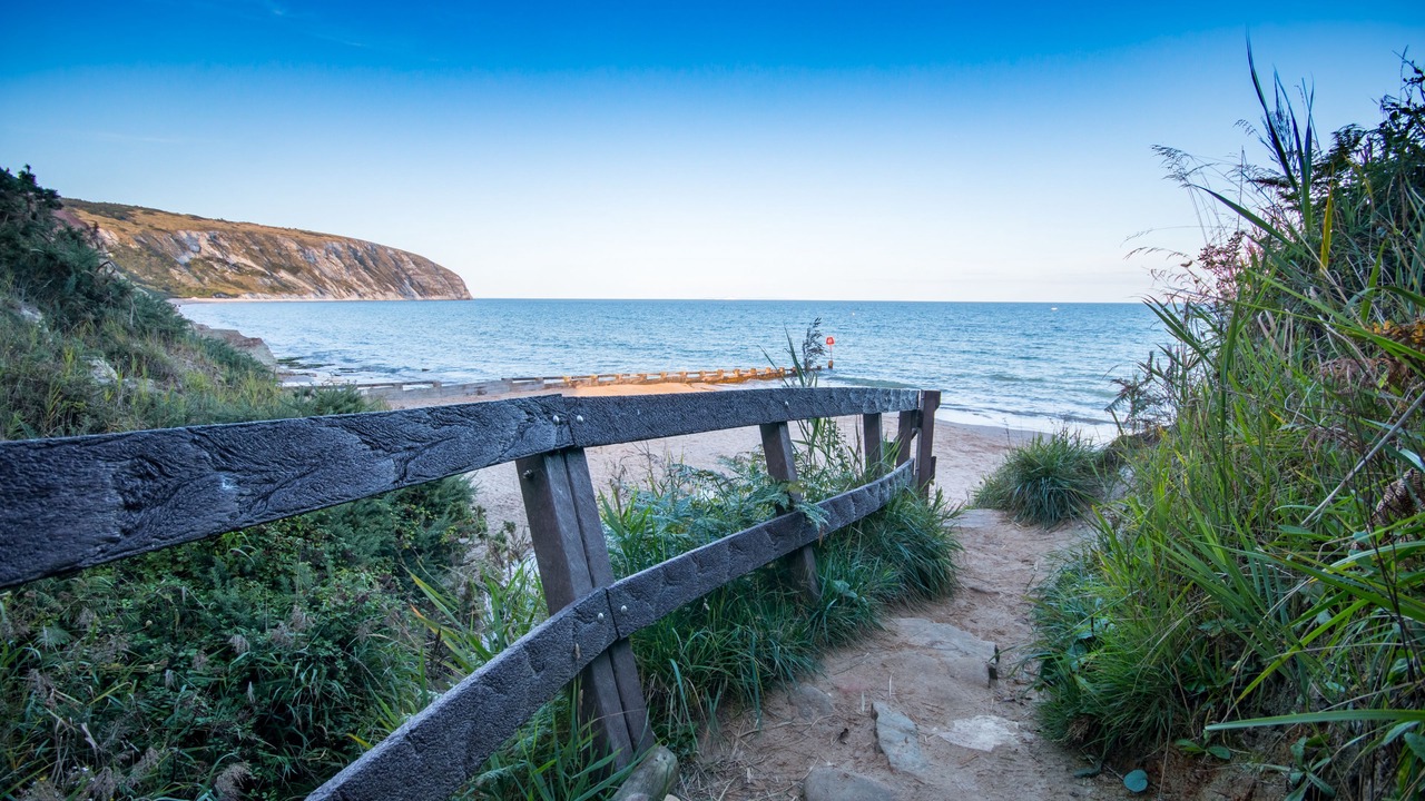 Photo of Others in Swanage
