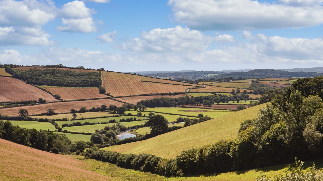 Photo of Others in Bradninch