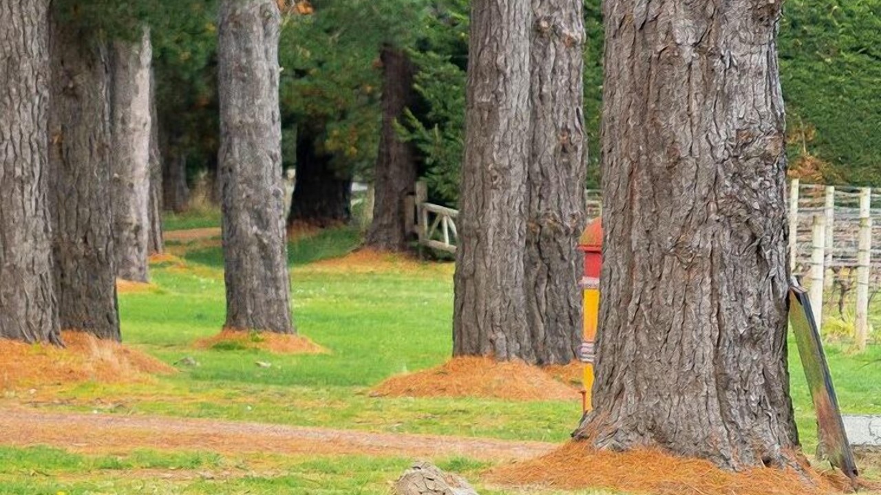 Photo of Outdoor in Shoreham