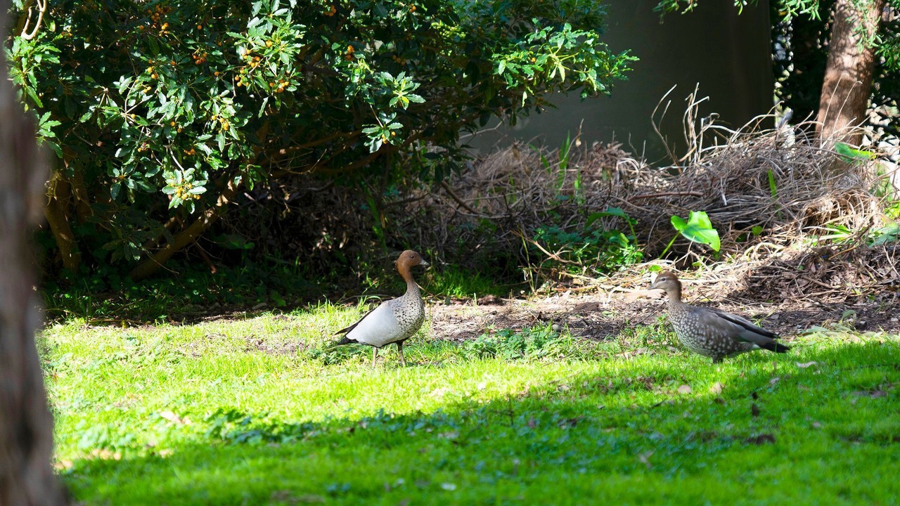 Photo of Outdoor in Shoreham