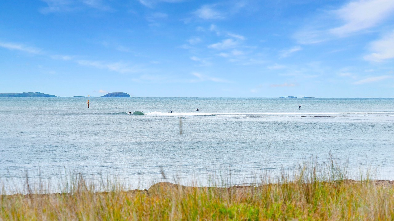 Photo of Others in Shoreham