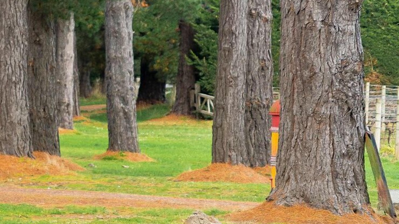 Photo of Outdoor in Shoreham