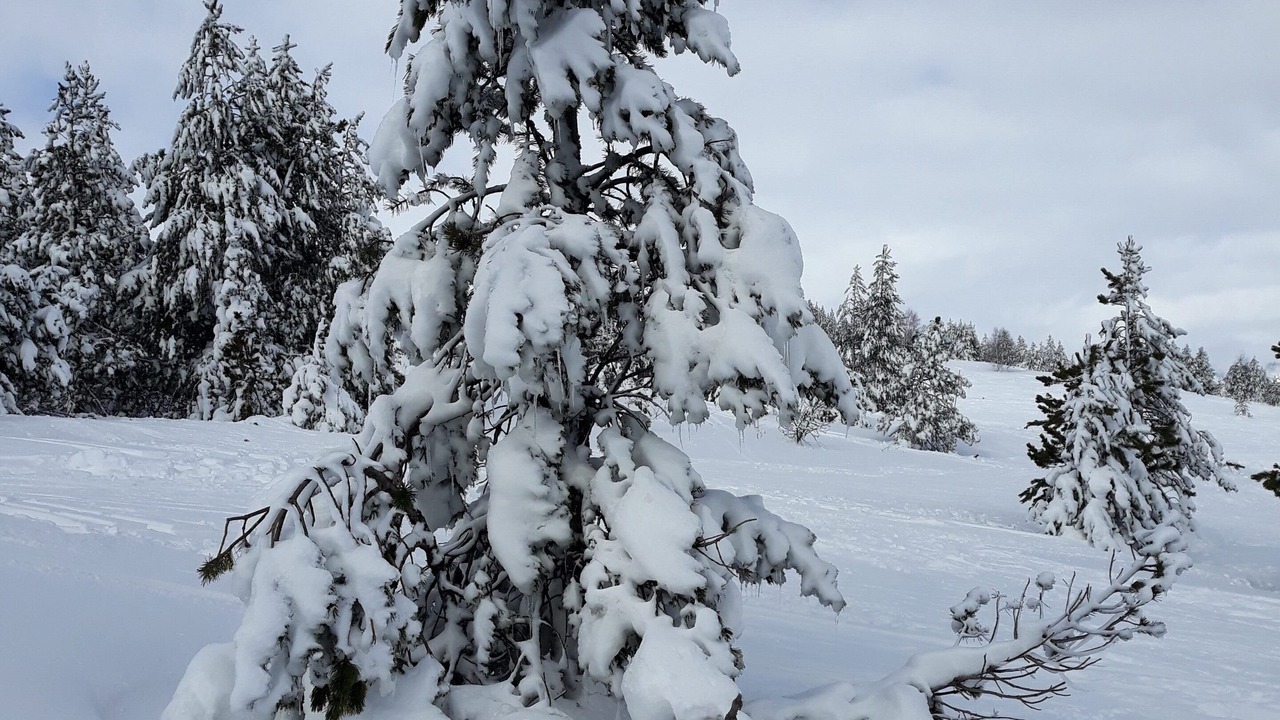 Photo of Outdoor in Porte-Puymorens