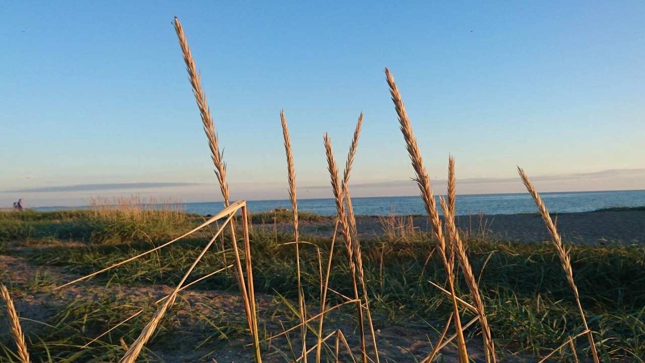 Photo of Others in Karrebksminde