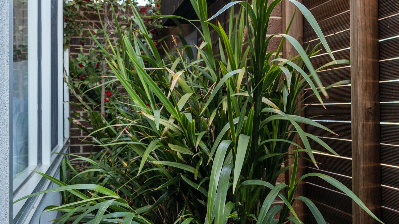 Photo of Outdoor in Collingwood