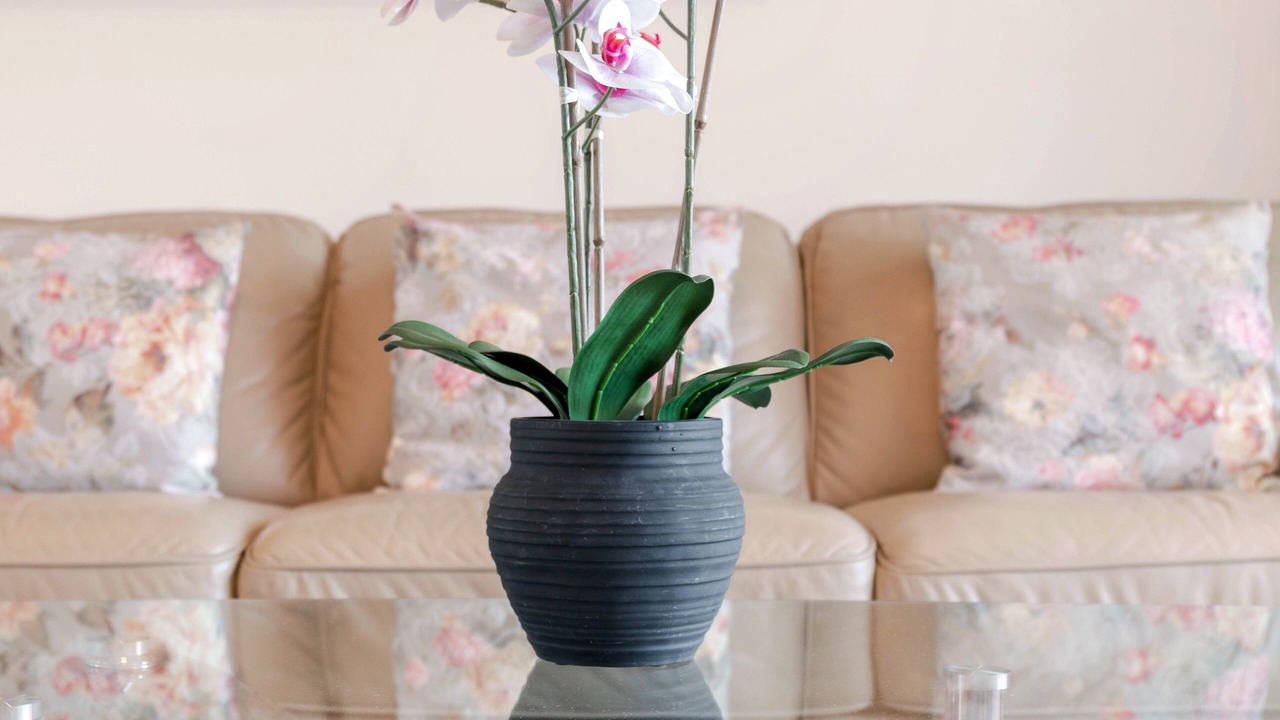 Photo of Others in Collingwood