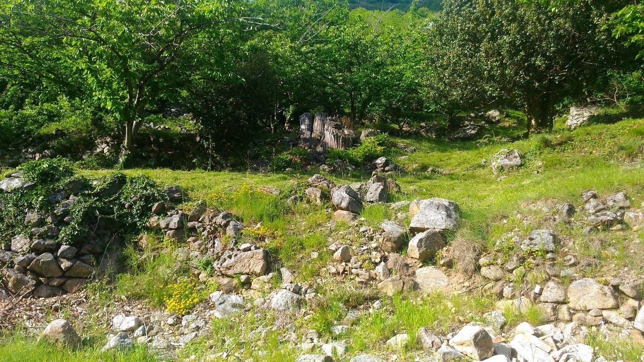 Photo of Others in Fraisse-sur-Agout