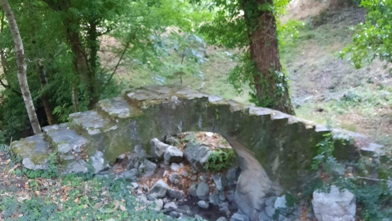 Photo of Outdoor in Fraisse-sur-Agout