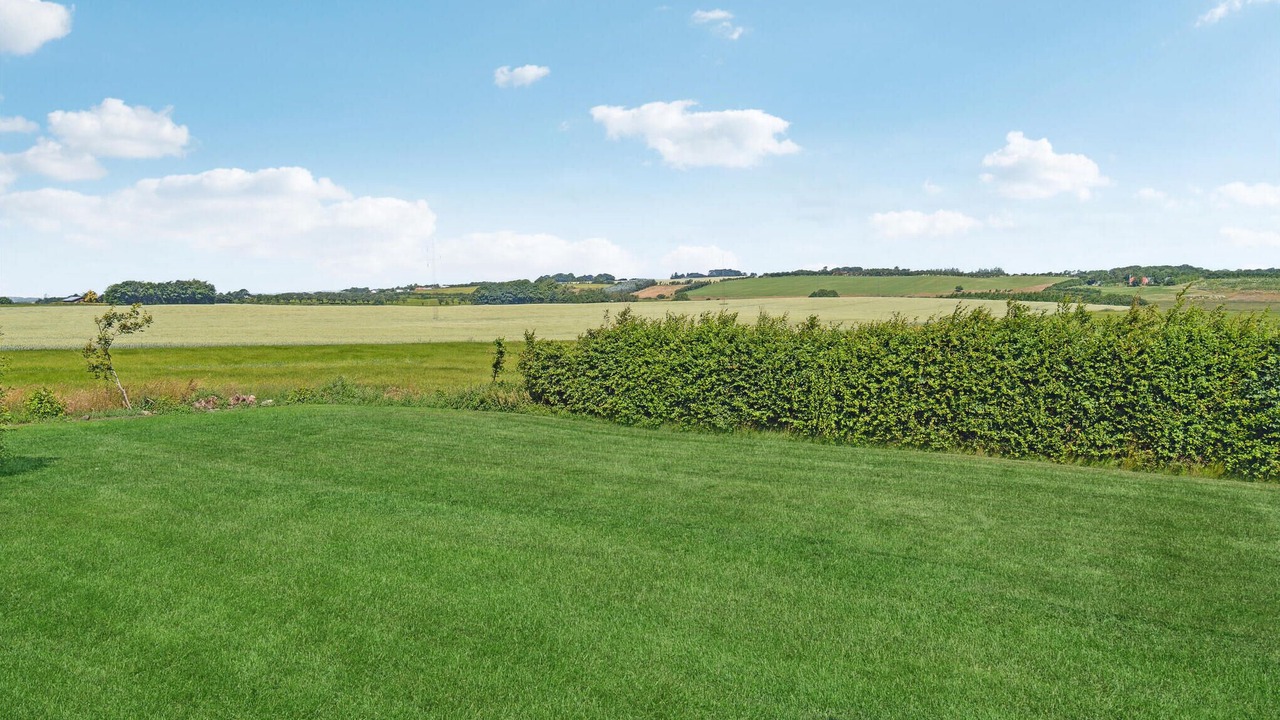 Photo of Others in Farso