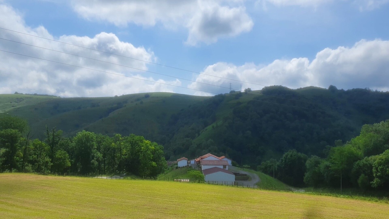 Photo of Others in Osses