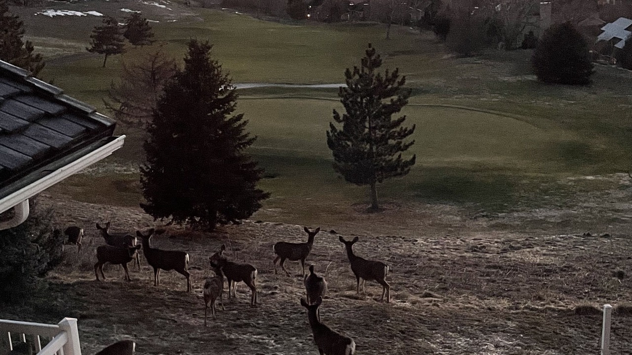 Photo of Others in North Salt Lake