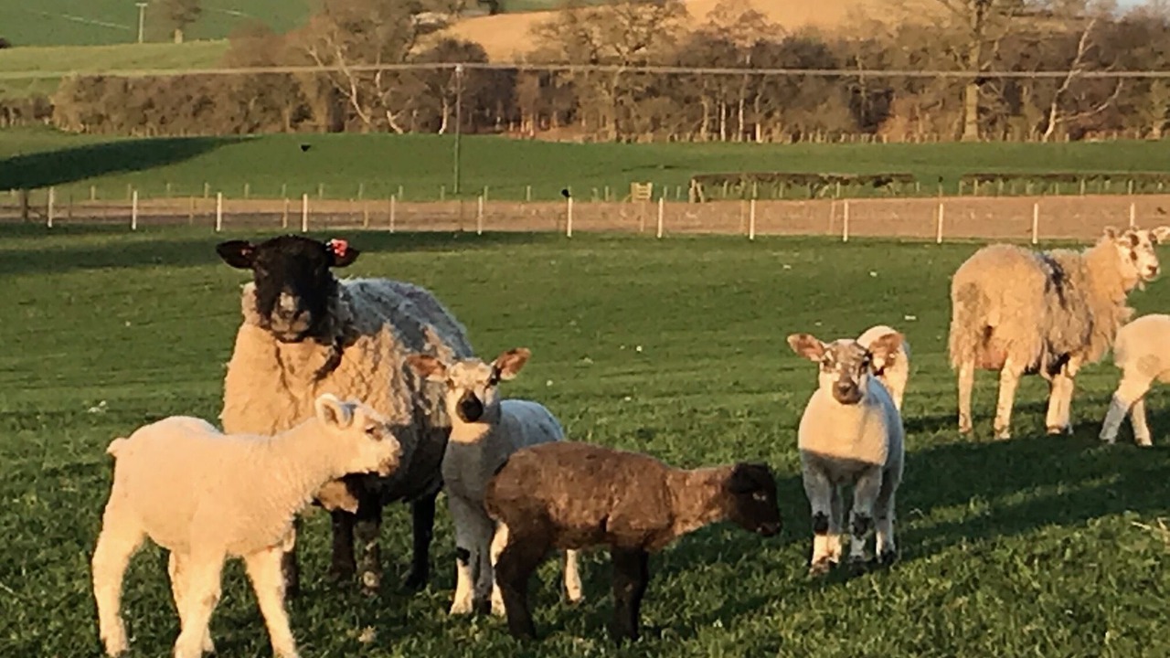 Photo of Others in Grimstone