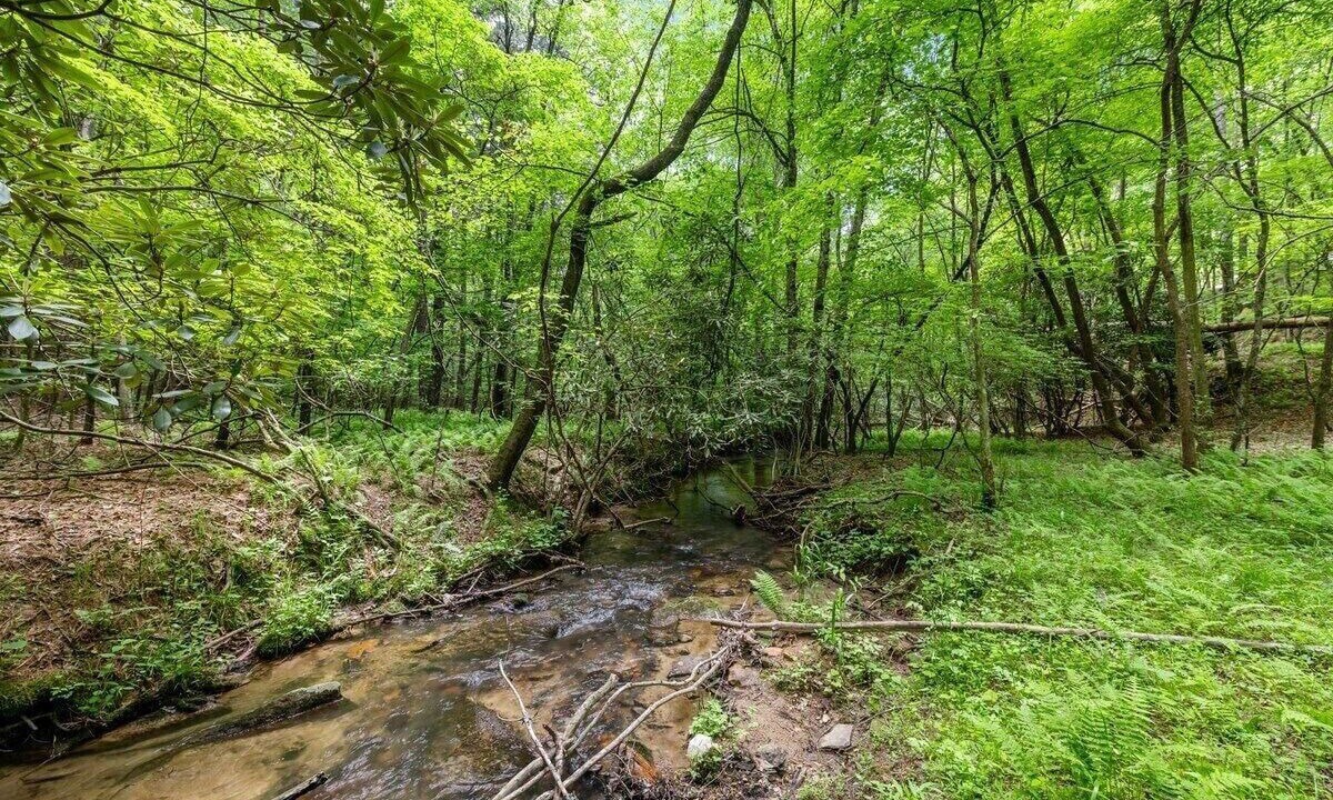 Photo of Outdoor in Mineral Bluff