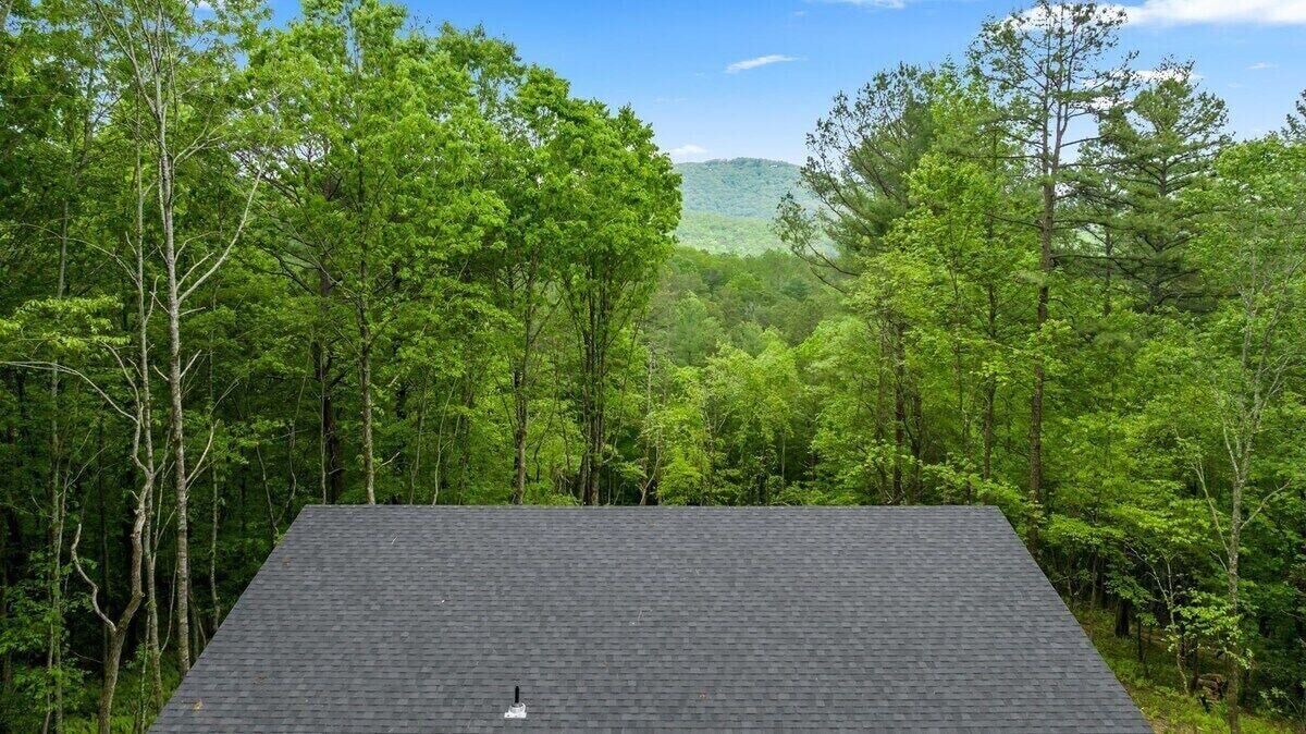 Photo of Outdoor in Mineral Bluff
