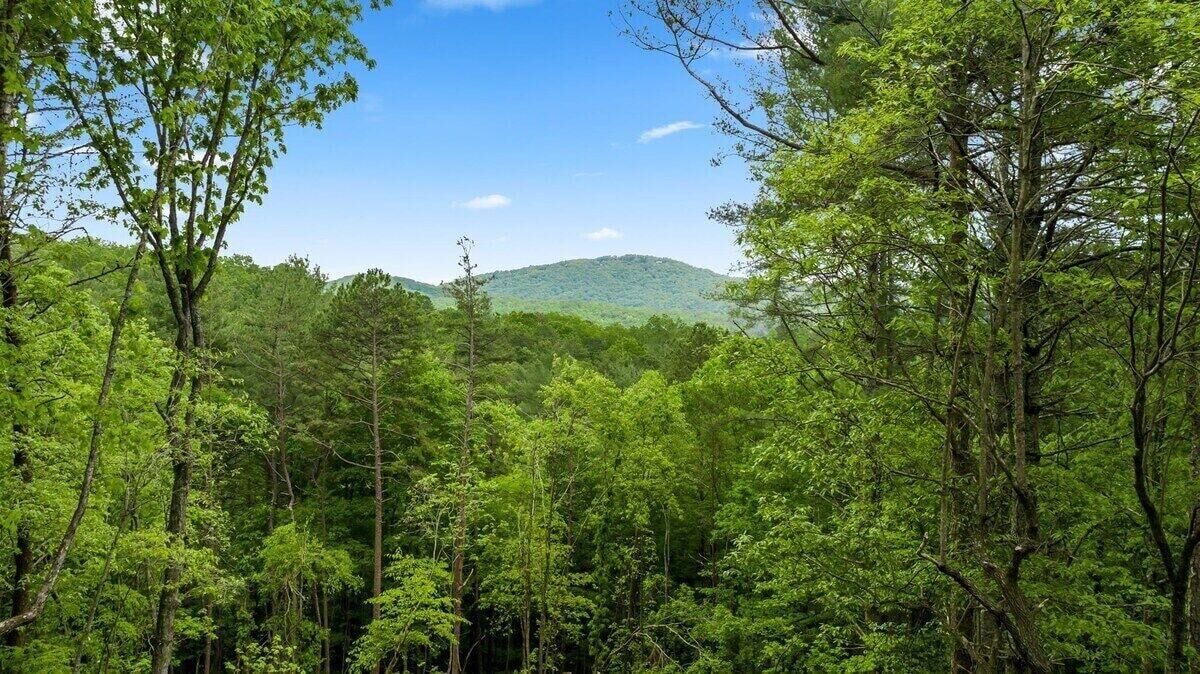 Photo of Others in Mineral Bluff