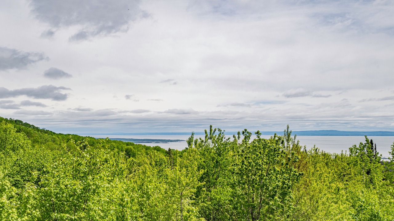 Photo of Others in Petite-Riviere-Saint-Francois