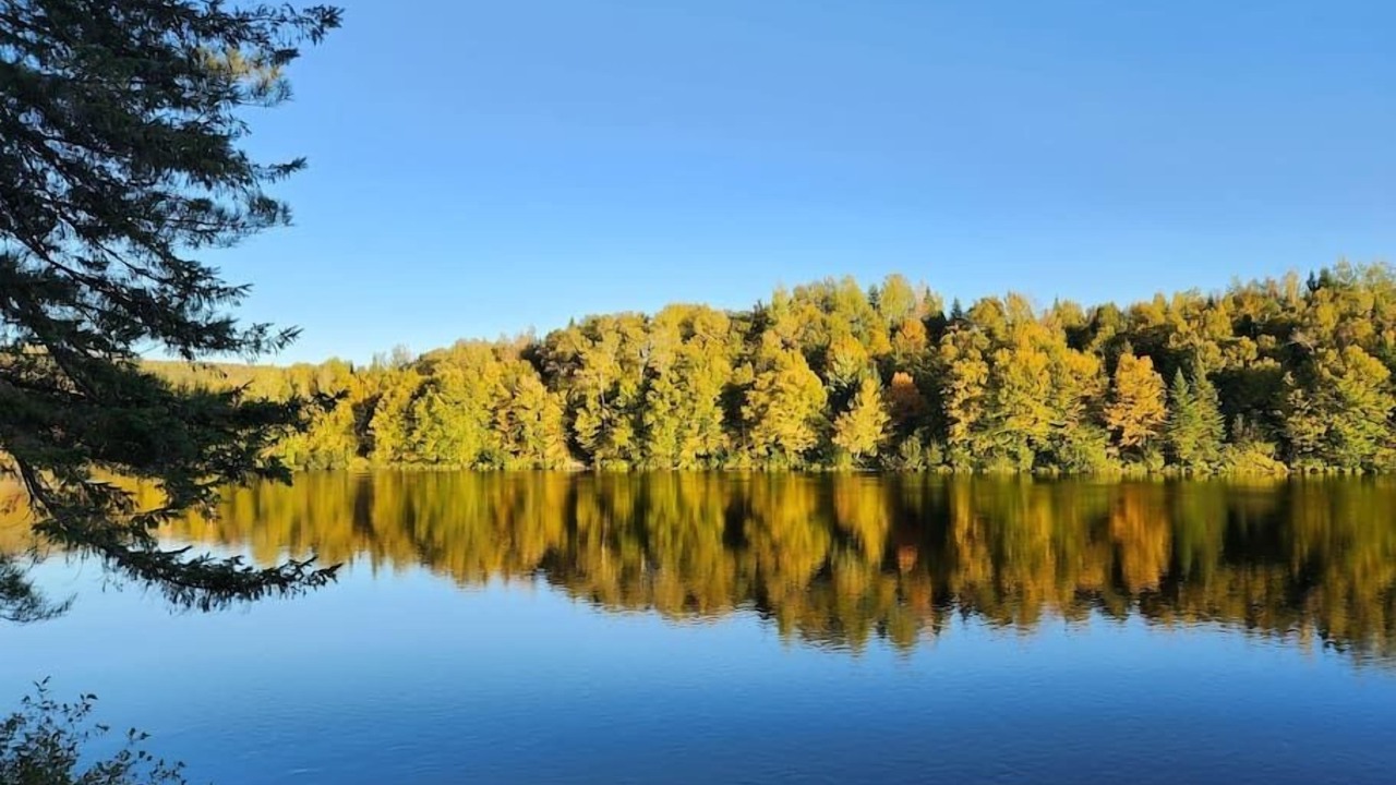 Photo of Others in Mauricie