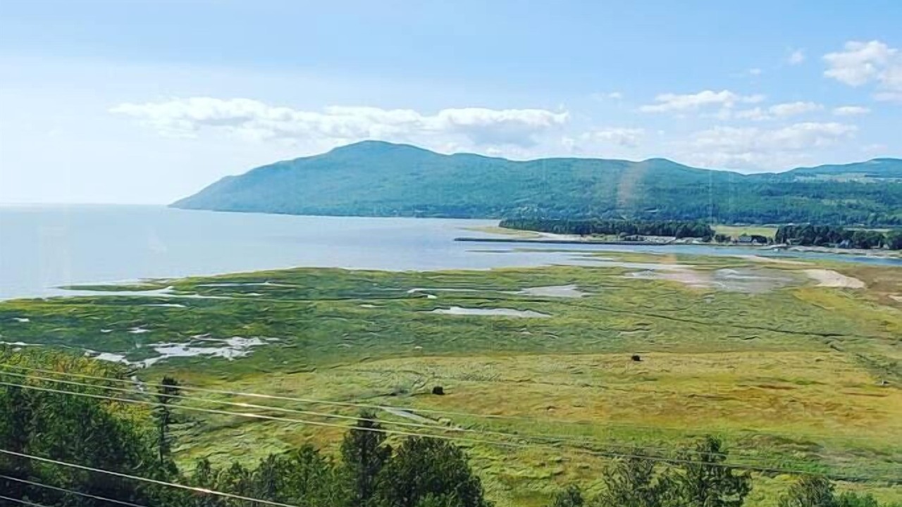 Photo of Others in Baie-St-Paul