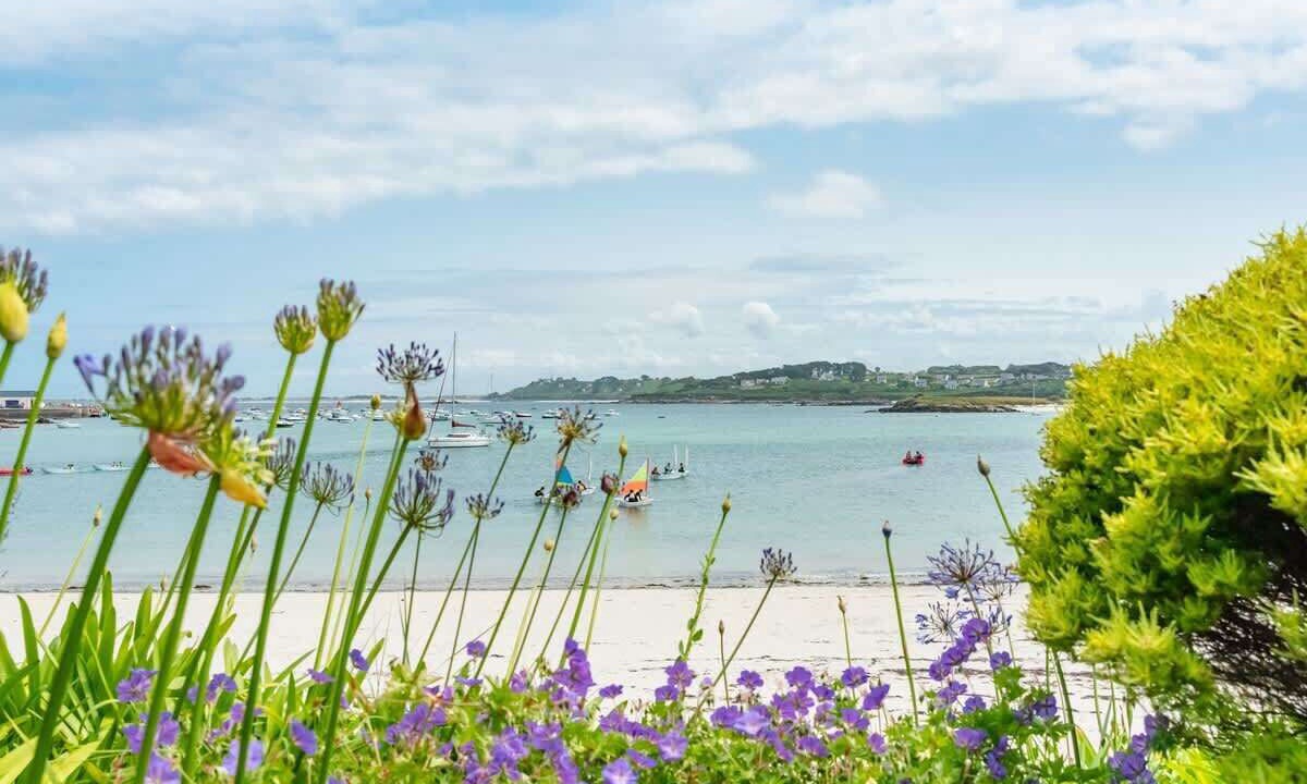 Photo of Others in Plouguerneau